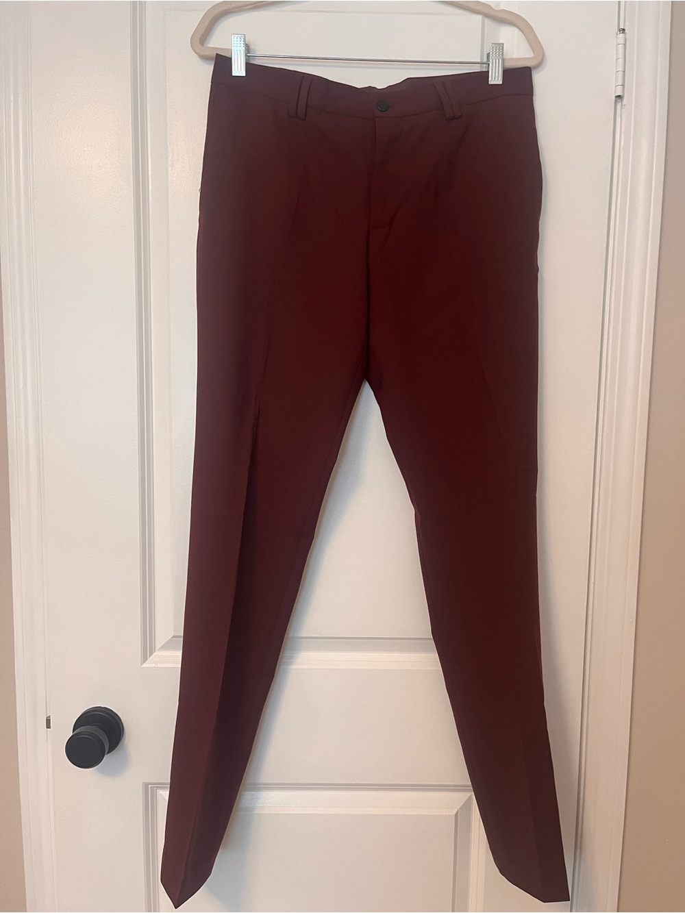 Zara Men's Tailored Dress Pants in Wine